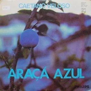 Aracá azul